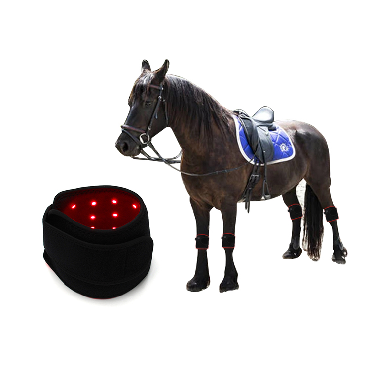 Red Light Therapy Horse Leg Pad (3)