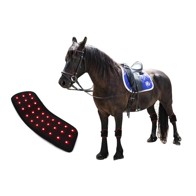 Red Light Therapy Horse Leg Pad (4)