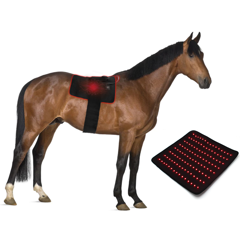 Red Light Therapy Horse Pad (1)