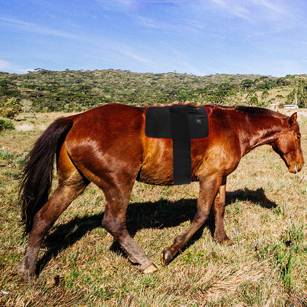 Red Light Therapy Horse Pad (2)