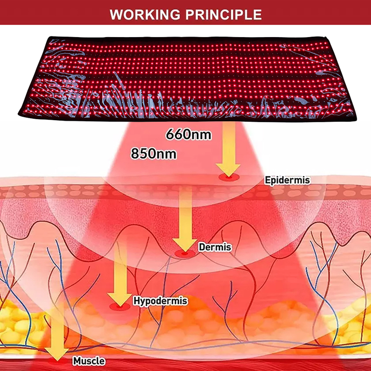 red light therapy full body (3)